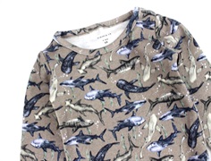 Name It fungi ocean body